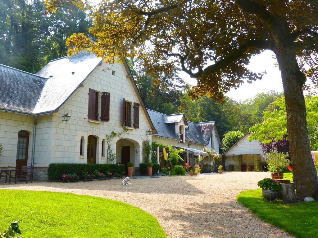 Domaine De Joreau Gennes-Val-de-Loire Exterior photo